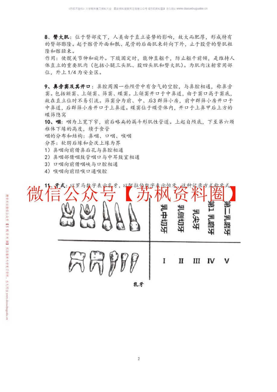 解剖学基础